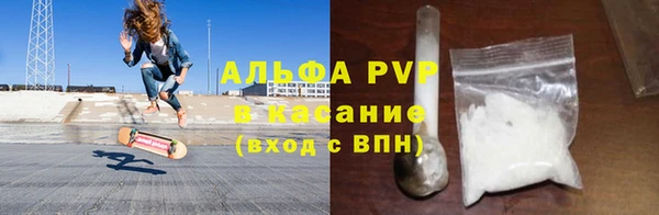 шишки Горняк