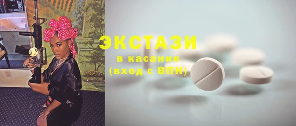 индика Вязьма