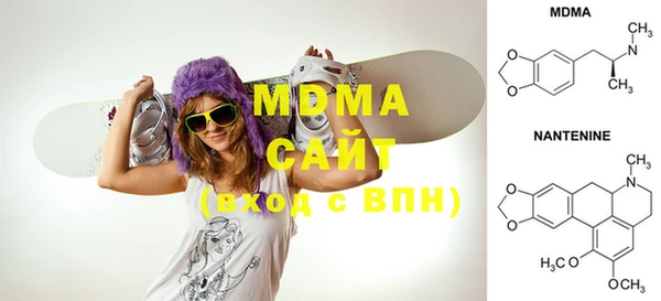 шишки Горняк