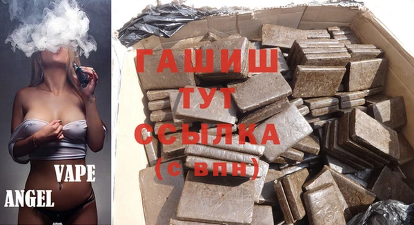шишки Горняк