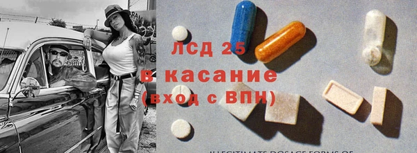 шишки Горняк