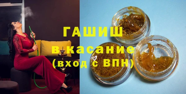 индика Вязьма