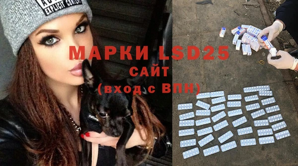 mdpv Горнозаводск