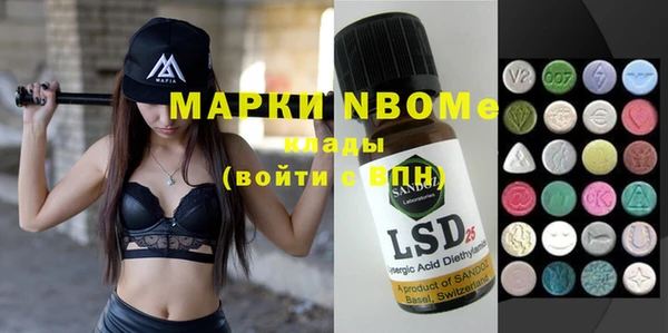 шишки Горняк