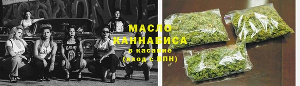 индика Вязьма