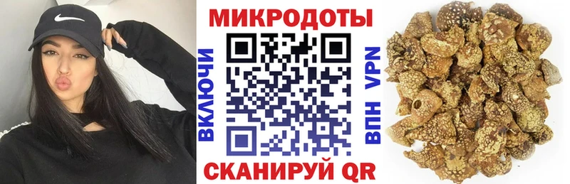 где продают   Озёрск  Псилоцибиновые грибы GOLDEN TEACHER 